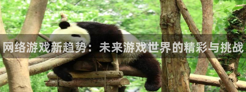 优贝娱乐登录地址：网络游戏新趋势：未来游戏世界的精彩与挑战