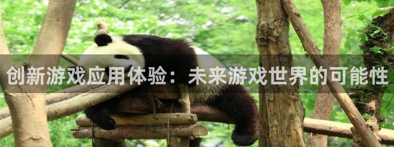 优贝娱乐app下载地址：创新游戏应用体验：未来游戏世界的可能