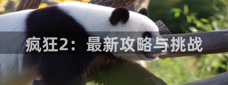 优贝娱乐手机网页版登录：疯狂2：最新攻略与挑战