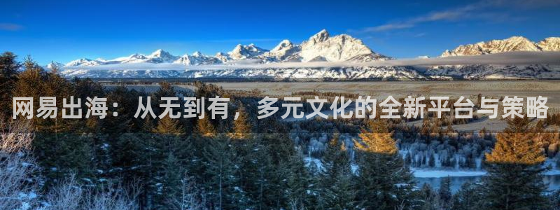 优贝娱乐平台官网登录：网易出海：从无到有，多元文化的全新平台