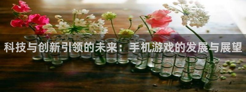 优贝娱乐怎么注册：科技与创新引领的未来：手机游戏的发展与展望