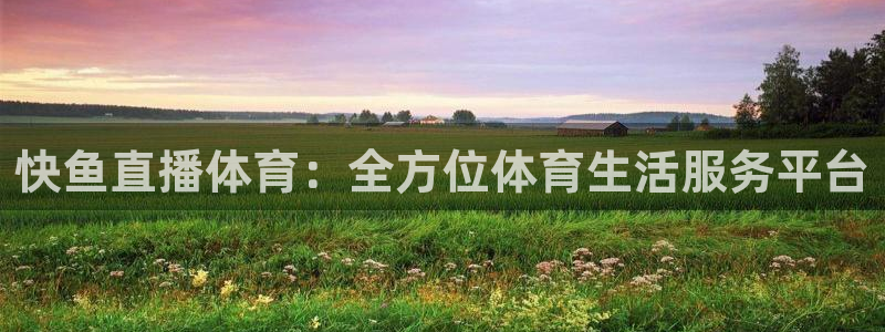 nba在线直播观看直播看球吧