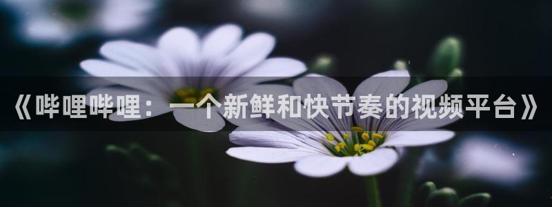优贝娱乐号7o777：《哔哩哔哩：一个新鲜和快节奏的视频平台