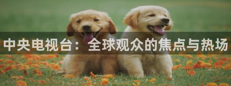 nba看球吧免费直播：中央电视台：全球观众的焦点与热场